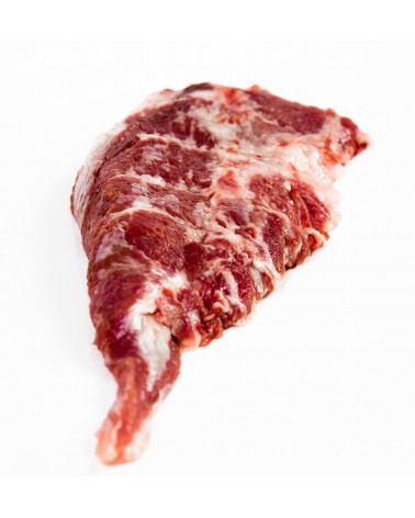 Pluma Ibérica